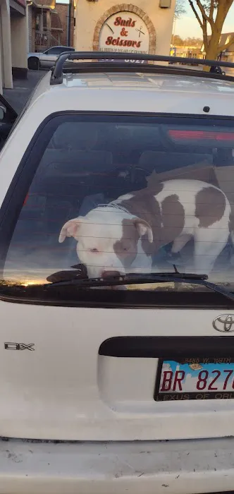 Oak Village Animal Hospital Picture 2