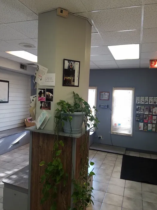 Oak Village Animal Hospital Picture 7