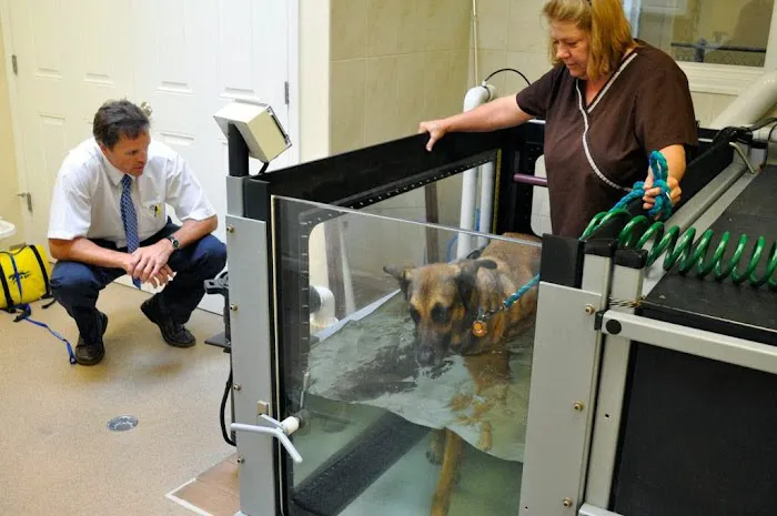 Chicago Animal Rehab Picture 2
