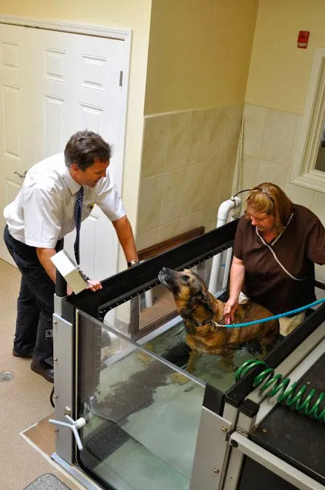 Chicago Animal Rehab Picture 4