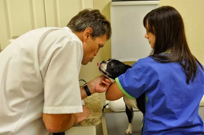 Chicago Animal Rehab Picture 6