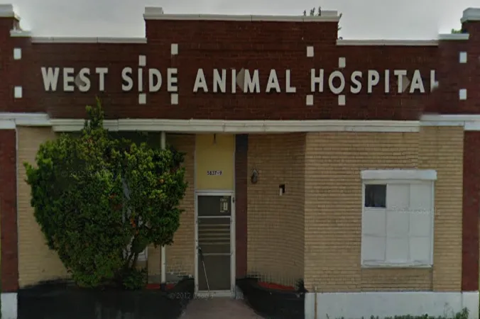 Westside Animal Hospital Picture 10
