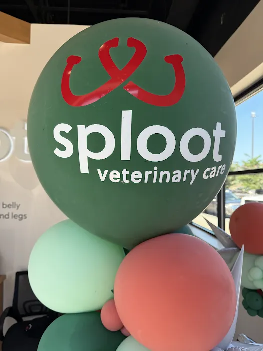 Sploot Veterinary Care - Oak Park / Forest Park Picture 10