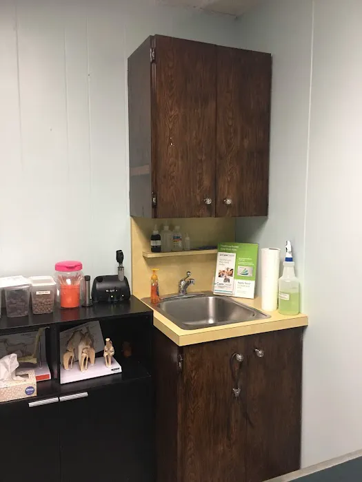 Merrick Animal Hospital Picture 8