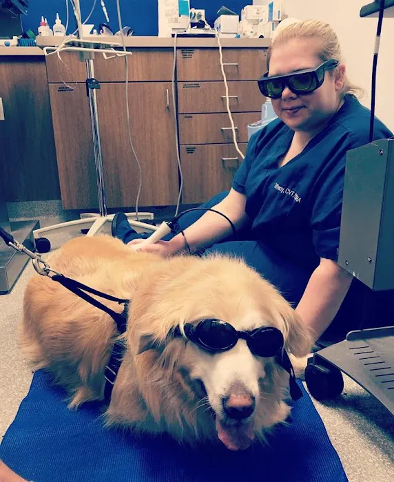 Countryside Veterinary Center Picture 8