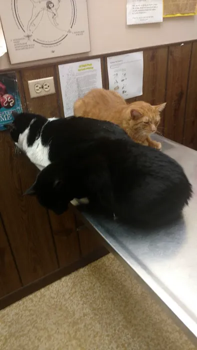Justice Animal Clinic Picture 3