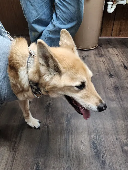 Justice Animal Clinic Picture 10