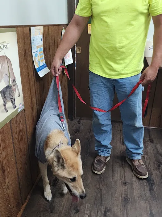 Justice Animal Clinic Picture 9