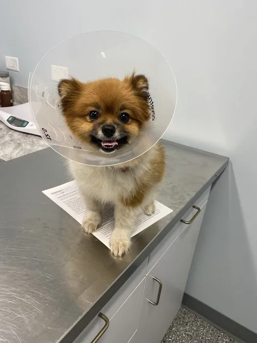 Countryside Animal Hospital PC Picture 6