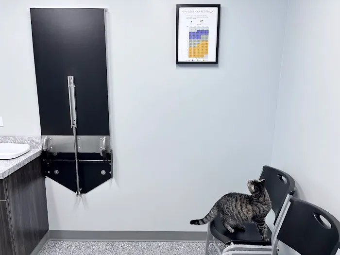 Countryside Animal Hospital PC Picture 7