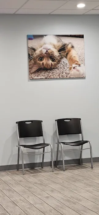 Countryside Animal Hospital PC Picture 2