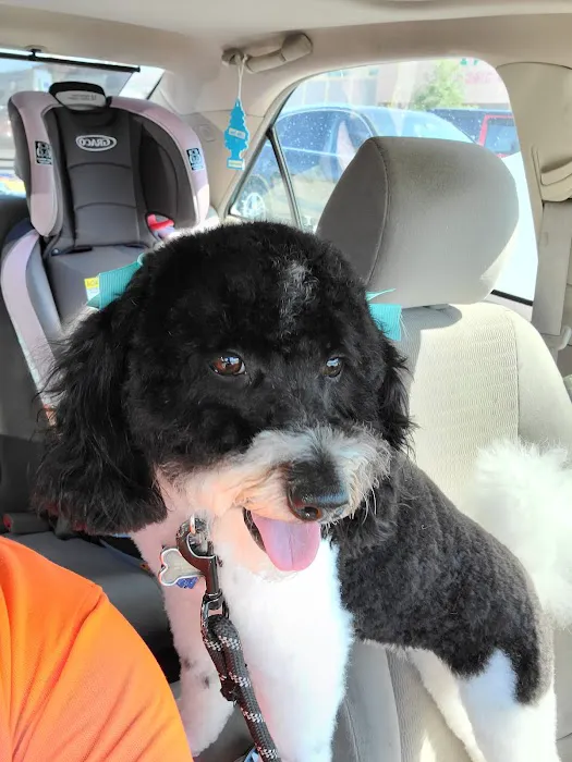 Banfield Pet Hospital Picture 1
