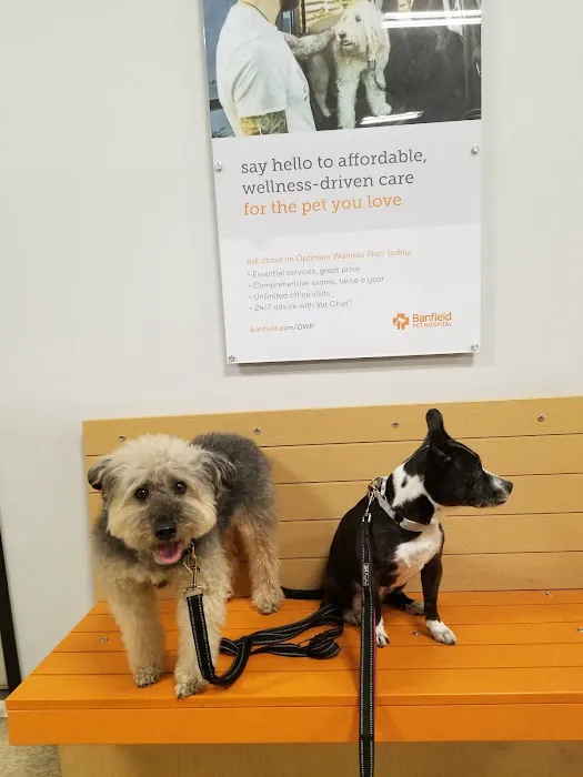 Banfield Pet Hospital Picture 3