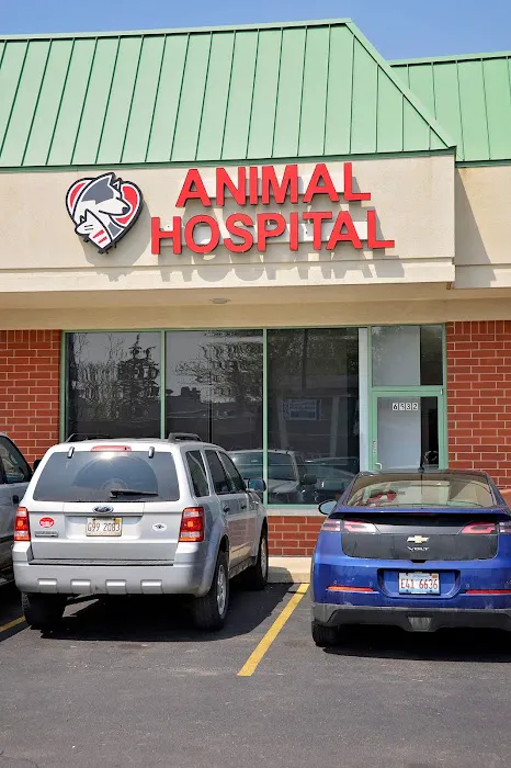 Companion Animal Hospital Oak Park Picture 9