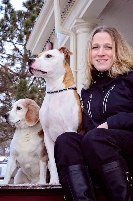 Companion Animal Hospital Oak Park Picture 10