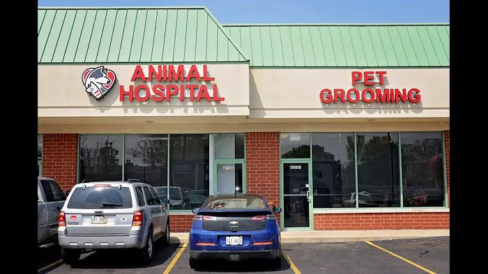 Companion Animal Hospital Oak Park Picture 3