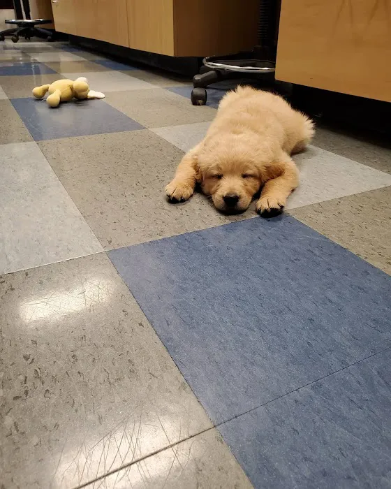 Companion Animal Hospital Oak Park Picture 5