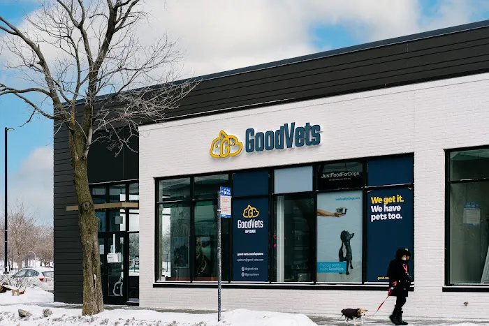 GoodVets Uptown (Chicago) Picture 9