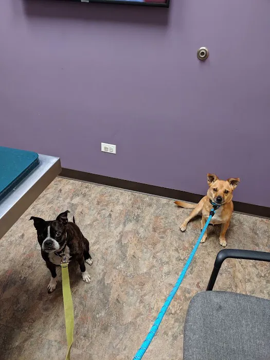 Duke Animal Hospital Picture 9