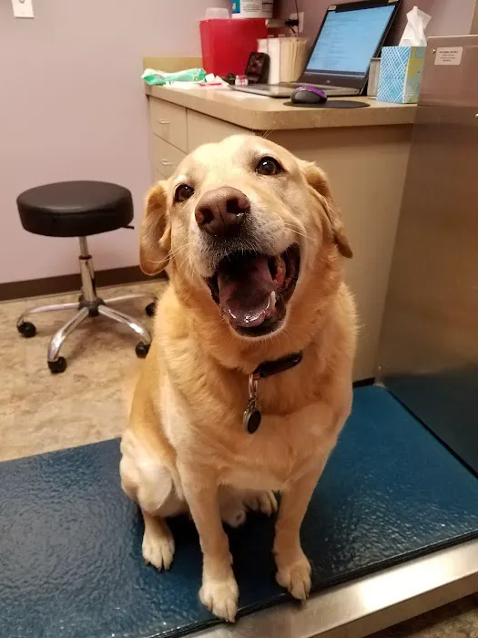 Duke Animal Hospital Picture 4