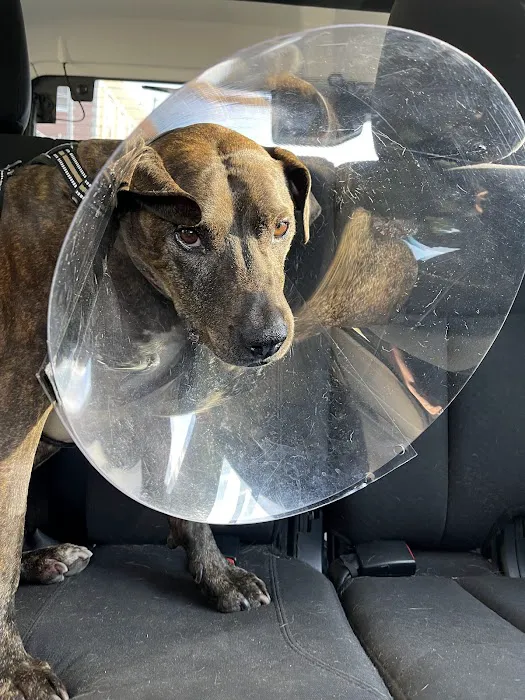 Duke Animal Hospital Picture 5