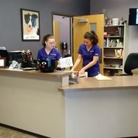 Duke Animal Hospital ico