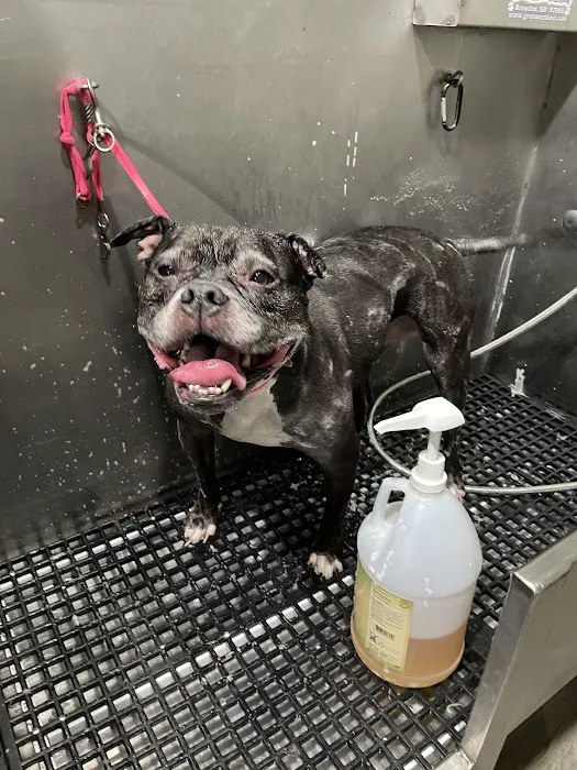 Duke Animal Hospital Picture 10