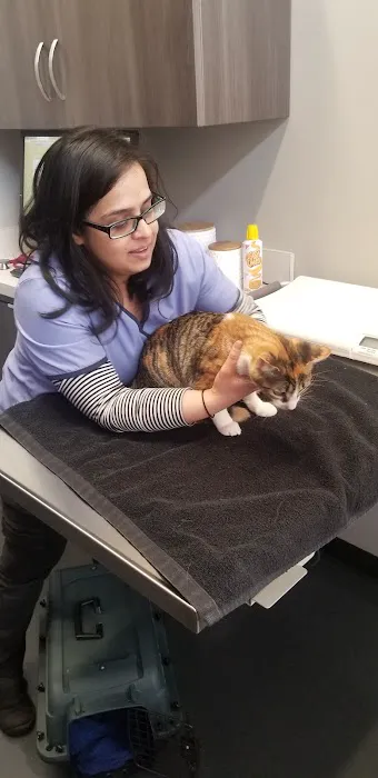 Wagnolia Veterinary Clinic Picture 1