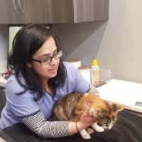 Wagnolia Veterinary Clinic ico