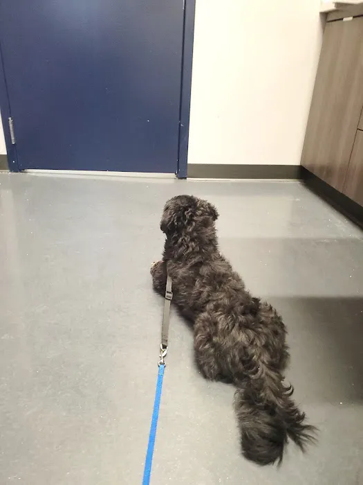 Wagnolia Veterinary Clinic Picture 6