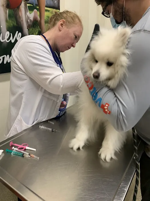Vetco Vaccination Clinic Picture 5