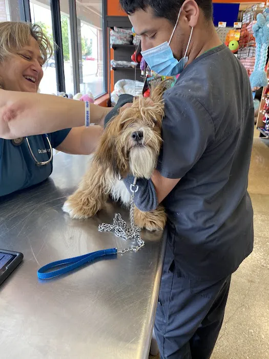 Vetco Vaccination Clinic Picture 4