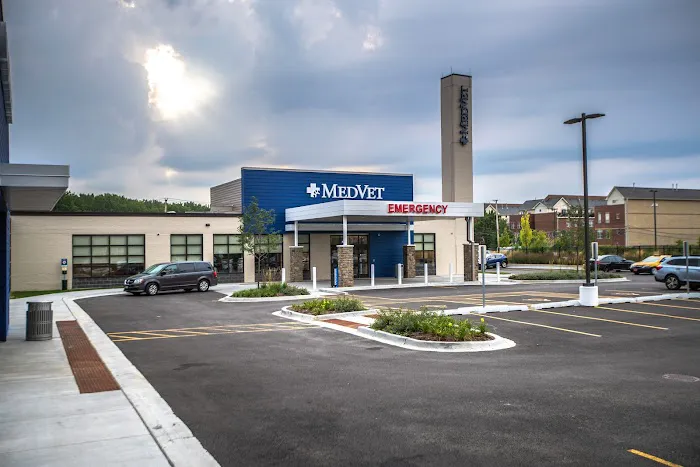 MedVet Chicago Picture 2