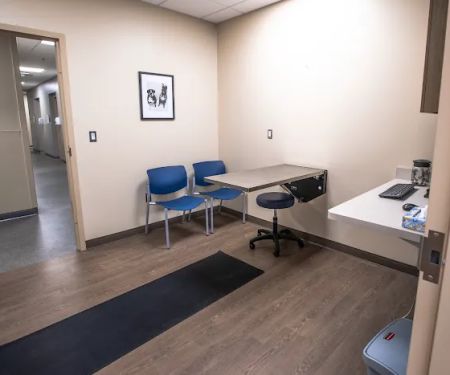 MedVet Chicago