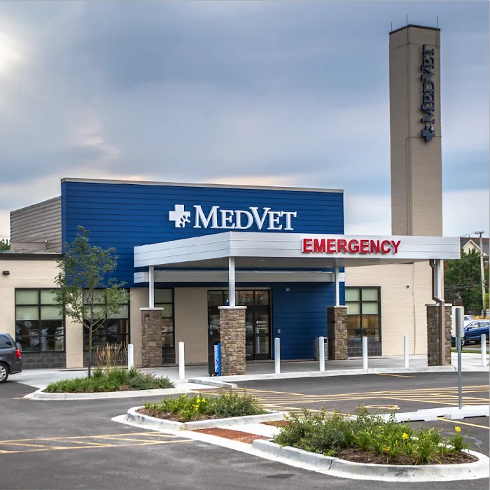 MedVet Chicago Picture 10