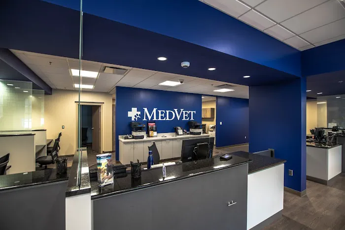 MedVet Chicago Picture 4
