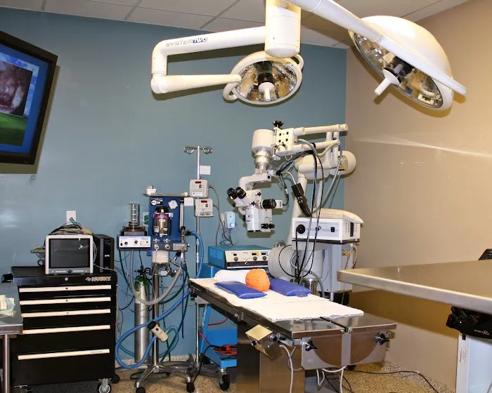 Eye Care for Animals - Chicago Picture 10