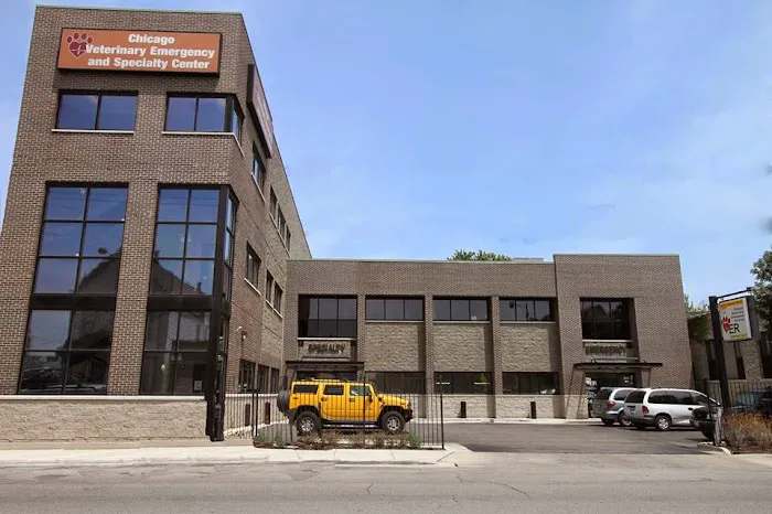 Eye Care for Animals - Chicago Picture 2