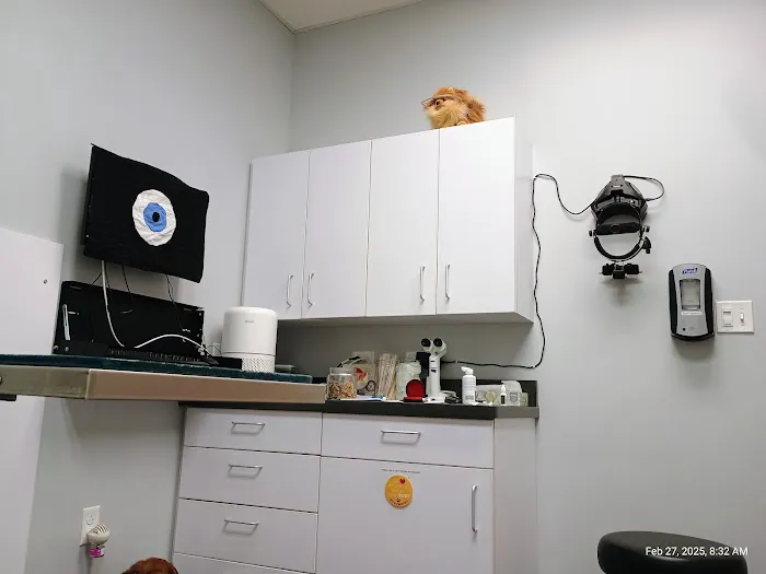 Eye Care for Animals - Chicago Picture 5
