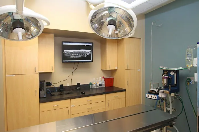Eye Care for Animals - Chicago Picture 8