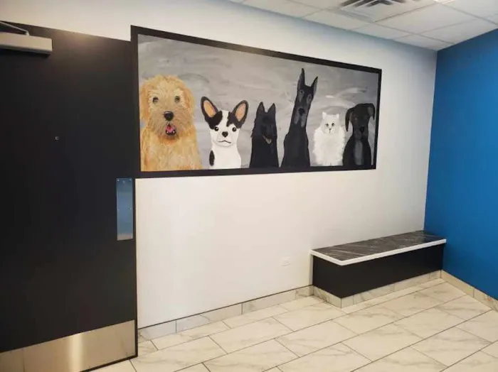 Precious Bond Animal Hospital Picture 2