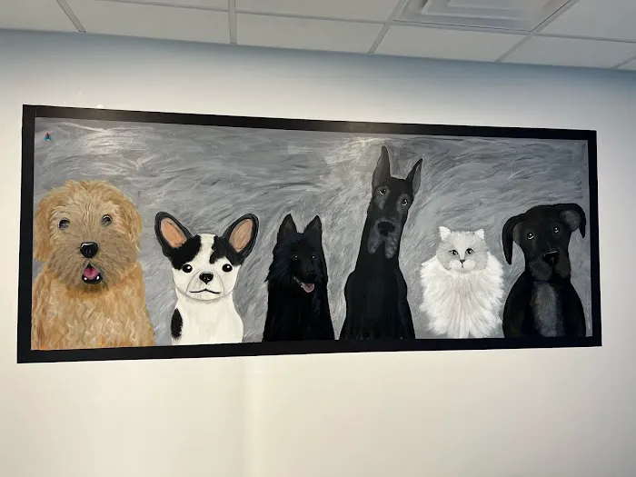 Precious Bond Animal Hospital Picture 6