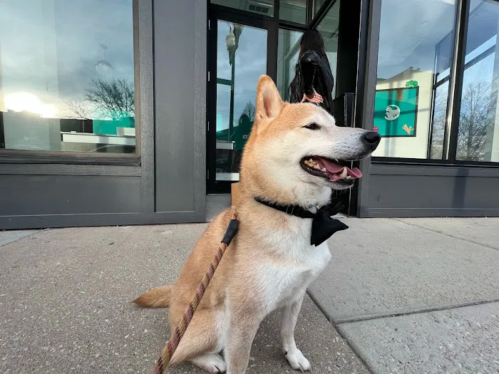Precious Bond Animal Hospital Picture 8
