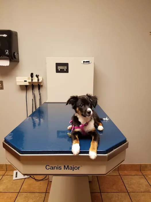 VCA Ark Animal Hospital Picture 4
