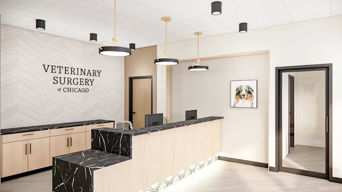 VSx Veterinary Surgery of Chicago Picture 1