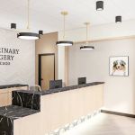VSx Veterinary Surgery of Chicago
