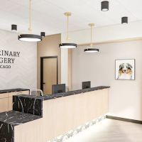 VSx Veterinary Surgery of Chicago ico