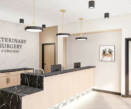 VSx Veterinary Surgery of Chicago