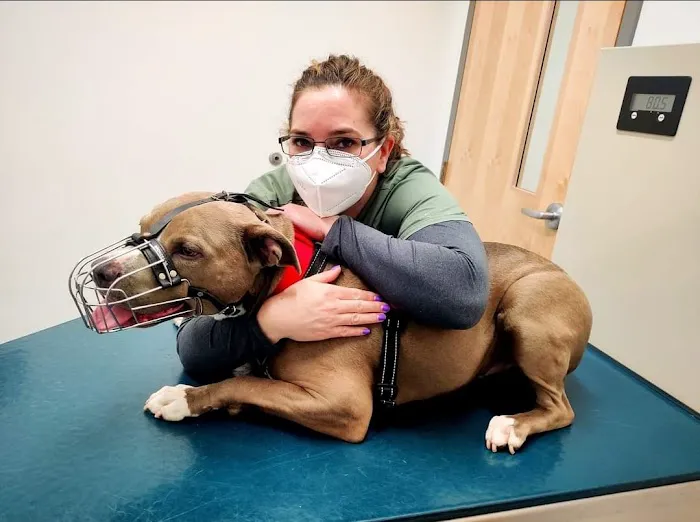Heal Veterinary Clinic Picture 6