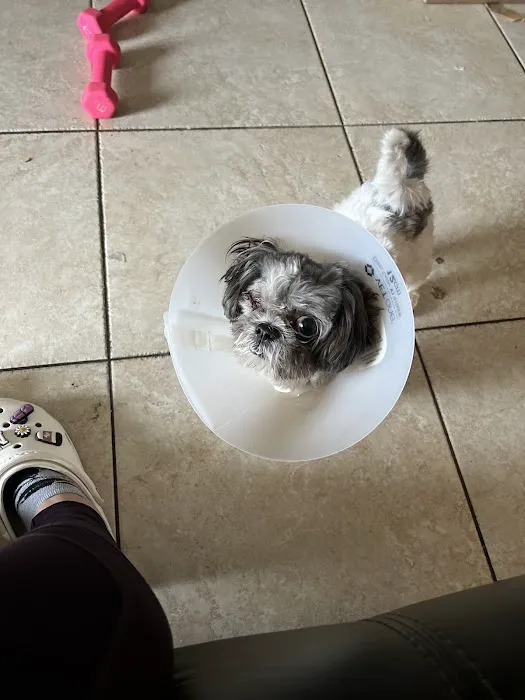 Montana Animal Clinic Picture 7